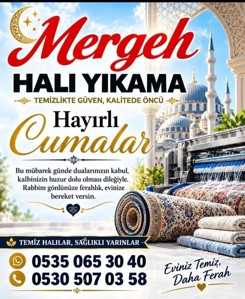 Halılarınız için ihtiyacınız olan her şey
